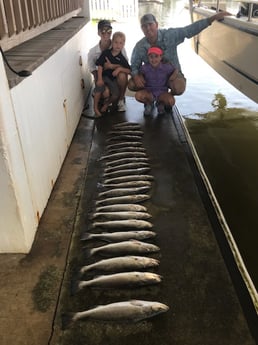 Speckled Trout / Spotted Seatrout fishing in Galveston, Texas