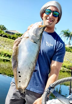 Clown Knifefish Fishing in Rockport, Texas