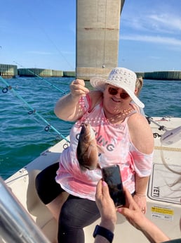 Mangrove Snapper Fishing in St. Petersburg, Florida