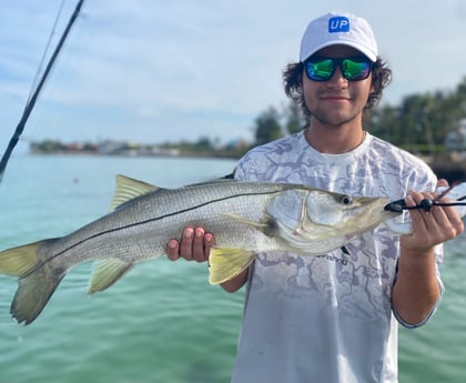 Snook Fishing in Sarasota, Florida