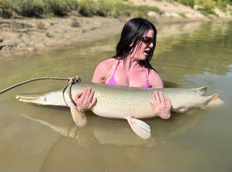 Alligator Gar Fishing in Dallas, Texas