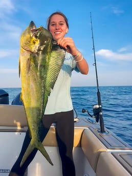 Mahi Mahi Fishing in Fort Myers, Florida