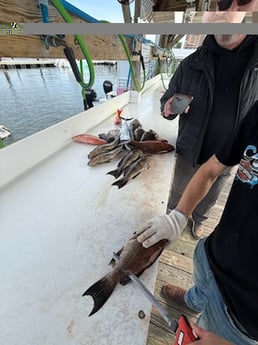 Fishing in Orange Beach, Alabama