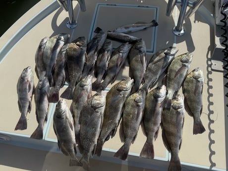 Fishing in Brownsville, Texas