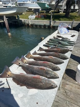 Fishing in Emerald Isle, North Carolina