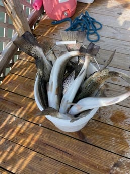 Fishing in Corpus Christi, Texas