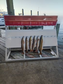 Fishing in Aransas Pass, Texas
