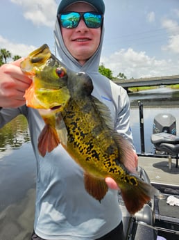 Fishing in Deerfield Beach, Florida