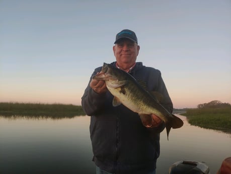 Largemouth Bass Fishing in Kissimmee, Florida