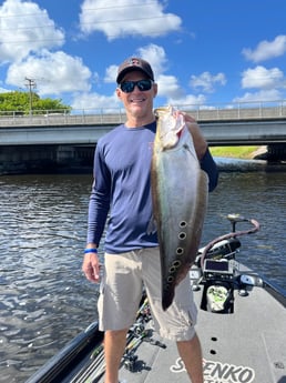 Clown Knifefish Fishing in Boca Raton, Florida