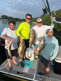 Gag Grouper Fishing in Holmes Beach, Florida