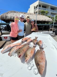 Mangrove Snapper Fishing in Key West, Florida
