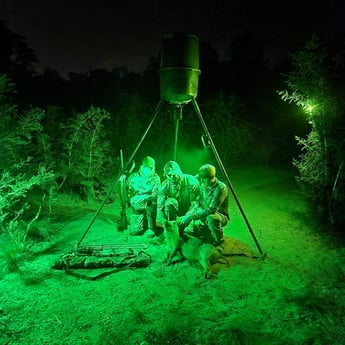 Hog Fishing in Fort Walton Beach, Florida