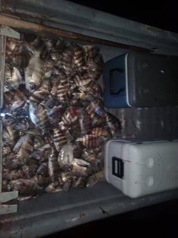 Fishing in Port Orange, Florida