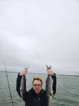 Fishing in Port Jefferson, New York