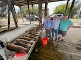 Redfish Fishing in Delacroix, Louisiana