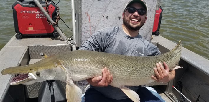 Alligator Gar Fishing in Livingston, Texas