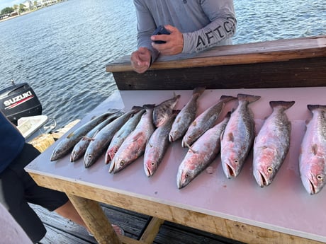 Fishing in Houston, Texas