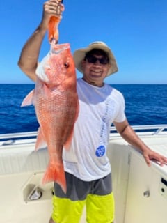 Red Snapper fishing in Port Isabel, Texas