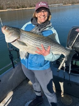 Fishing in Rogers, Arkansas