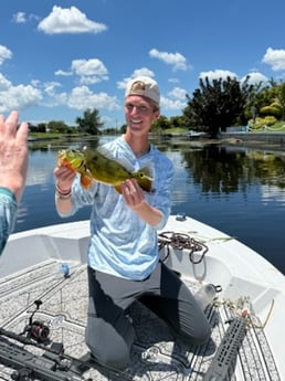 Fishing in Cape Coast, Ghana