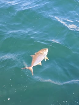 Fishing in Mary Esther, Florida
