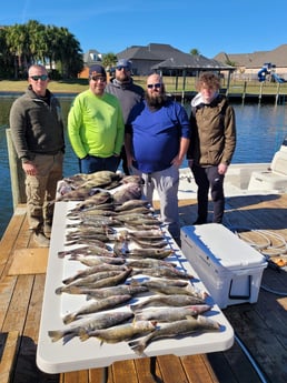 Sheepshead, Speckled Trout / Spotted Seatrout Fishing in New Orleans, Louisiana