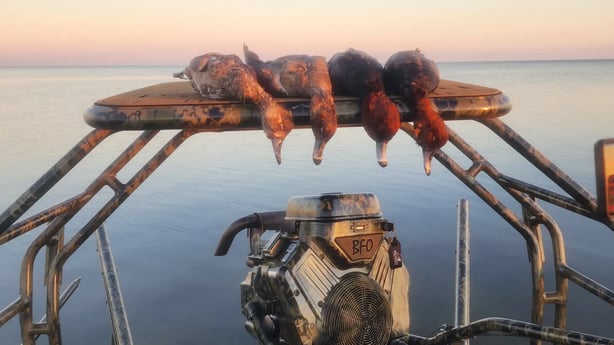 Redhead Fishing in Saint Marks, Florida