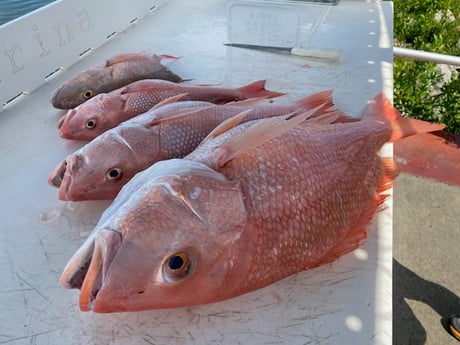 Fishing in Key West, Florida