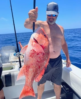 Red Snapper Fishing in Clearwater, Florida