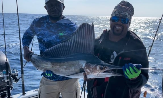 Sailfish Fishing in Key Largo, Florida