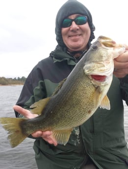 Largemouth Bass Fishing in Alba, Texas