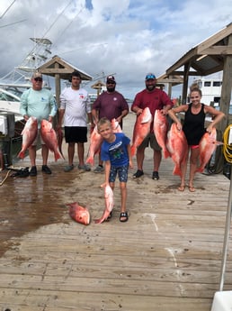 Red Snapper fishing in Dauphin Island, Alabama