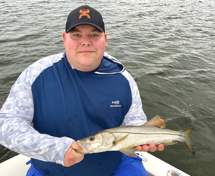 Snook Fishing in Tampa, Florida