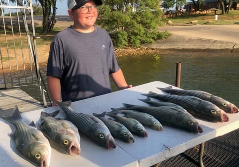 Striped Bass fishing in Burnet, Texas