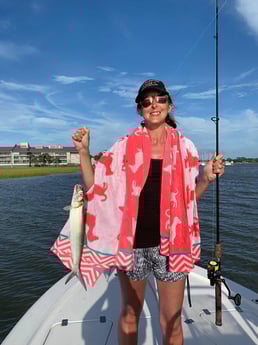 Ladyfish fishing in Charleston, South Carolina