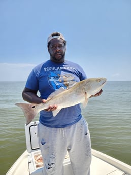 Redfish Fishing in New Orleans, Louisiana