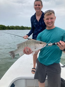 Mangrove Snapper fishing in Summerland Key, Florida
