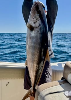 Fishing in Shalimar, Florida