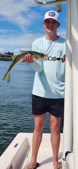 Fishing in Sarasota, Florida