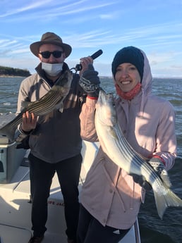 Largemouth Bass fishing in Pottsboro, Texas