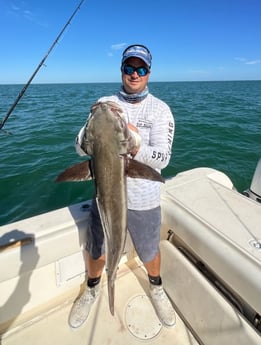 Fishing in Marathon, Florida