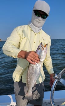 Speckled Trout / Spotted Seatrout fishing in Freeport, Texas