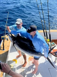 Sailfish Fishing in West Palm Beach, Florida