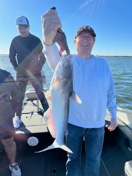 Fishing in Wylie, Texas