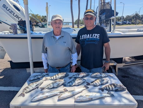 Sheepshead, Speckled Trout Fishing in Seminole, Florida
