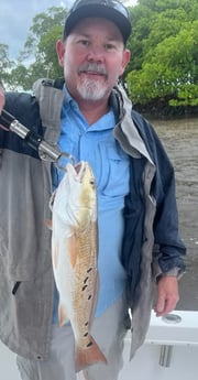 Fishing in Chokoloskee, Florida