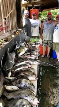 Fishing in Biloxi, Mississippi