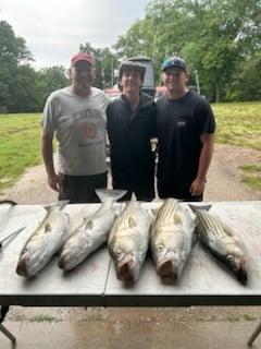 Fishing in Rogers, Arkansas