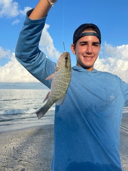 Fishing in Sarasota, Florida